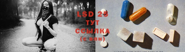 шишки Вяземский