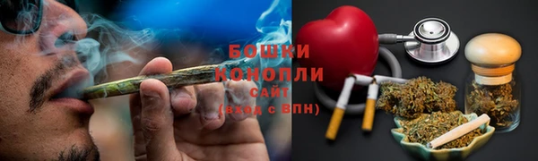 шишки Вяземский