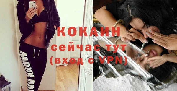 шишки Вяземский
